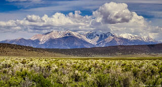 Eastern Sierra Valley