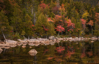 Fall Reflections