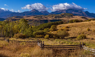 Fence Line #2