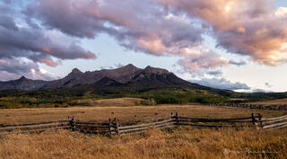 Fenceline