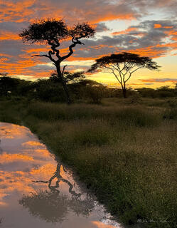 Sunrise Reflection