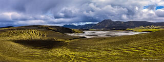 Mossy River Shores