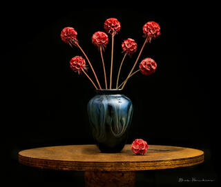 Pincushions
