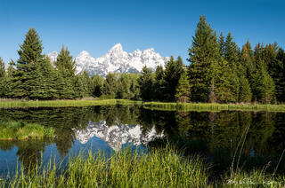 Schwabacher Landing