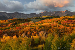 Sneffels Range Fall Colors