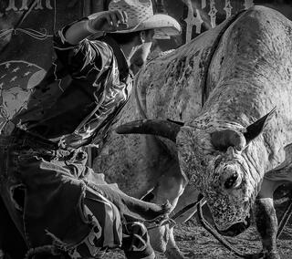The Bullfighter