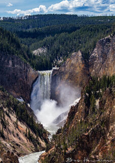Yellowstone Falls