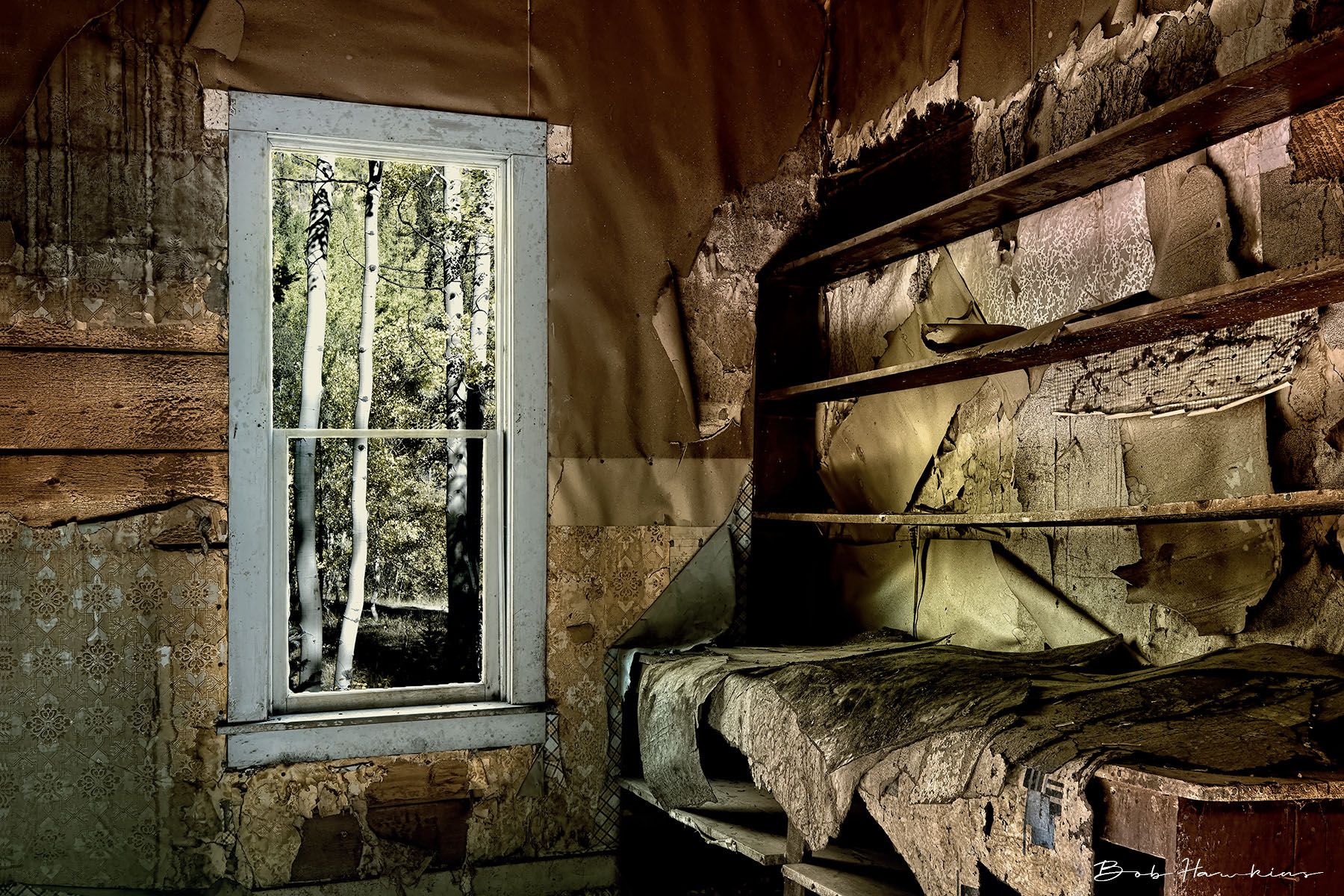 Old Mountain Cabin
